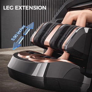 Leg Extension